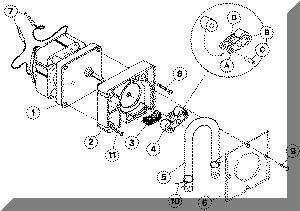 Pump Assembly