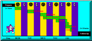 Kaizen Schedule