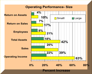 Operating Performance and Size